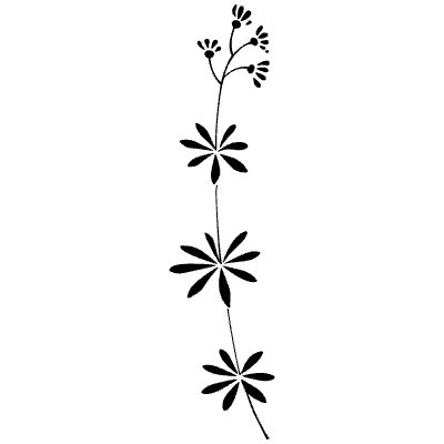 Vintage Chic Fleurons 11 Element from Fleurons Ornaments Set