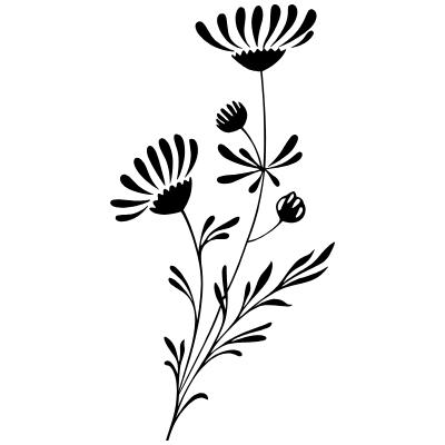 Vintage Chic Fleurons 14 Element from Fleurons Ornaments Set