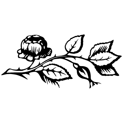 Vintage Chic Fleurons 48 Element from Fleurons Ornaments Set