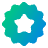 Badge Award Star Icon from Plump Gradient Set