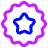 Badge Award Star Icon from Plump Neon Set