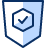 Programming Shield Check Icon from Cyber Duotone Set