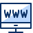 Programming Www Icon from Cyber Duotone Set
