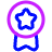Medal Badge Star Icon from Plump Neon Set