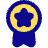 Medal Badge Star Icon from Plump Pop Set