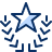 Laurel Star Icon from Cyber Duotone Set