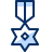 Medal 2 Icon from Cyber Duotone Set