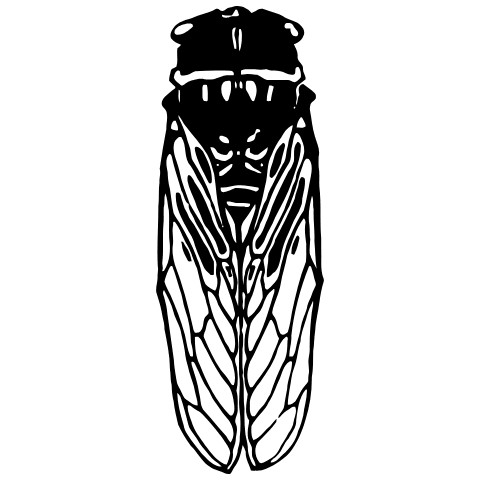 Cicadas Element from Art Nouveau Vectors Set