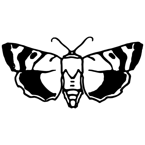 Moth Element from Art Nouveau Vectors Set