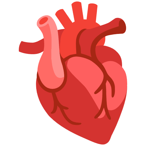 Anatomical Heart Emoji from Noto Emoji Set