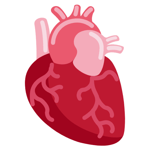 Anatomical Heart Emoji from Twemoji Set