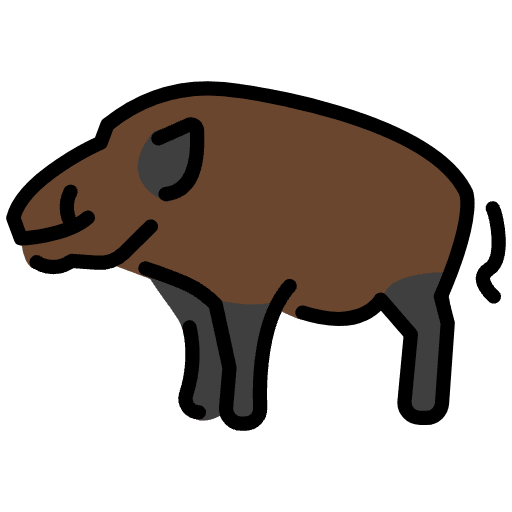 Boar Emoji from OpenMoji Set