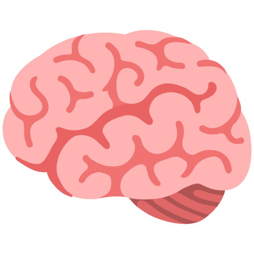 Brain Emoji from Noto Emoji Set