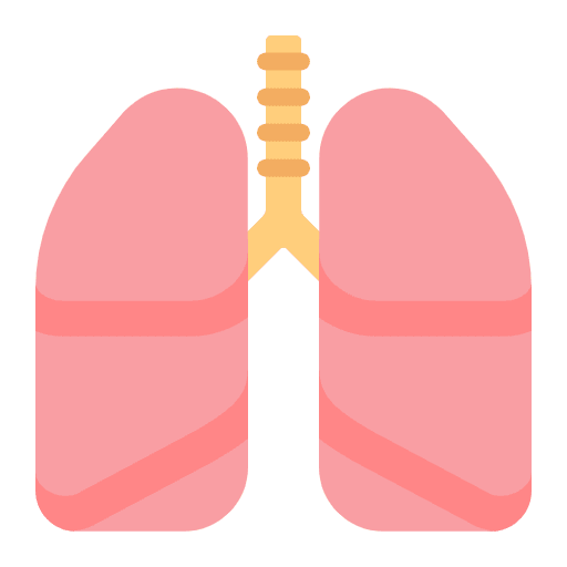 Lungs Flat Element from Fluent Emoji Flat Set