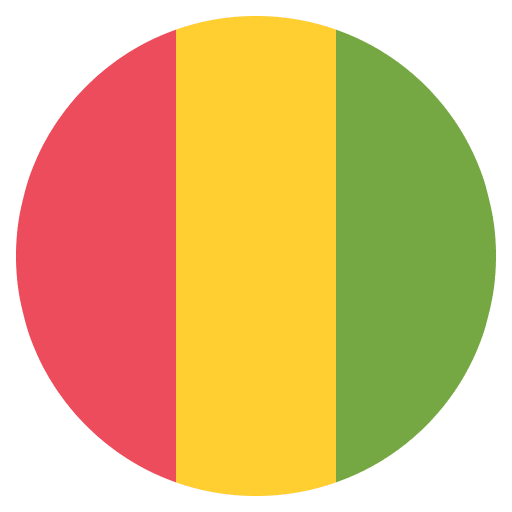 Flag Guinea Emoji from EmojiTwo Colors Set