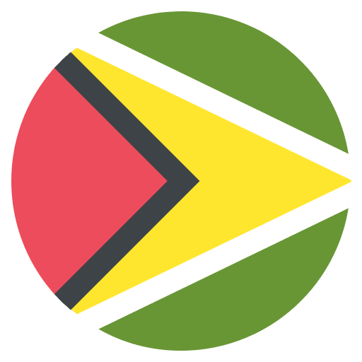 Flag Guyana Emoji from EmojiTwo Colors Set