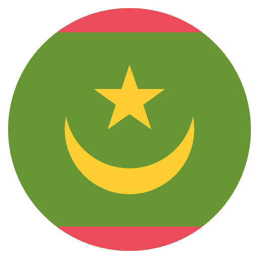 Flag Mauritania Element from EmojiTwo Colors Set