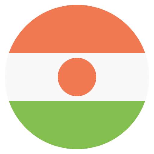 Flag Niger Emoji from EmojiTwo Colors Set