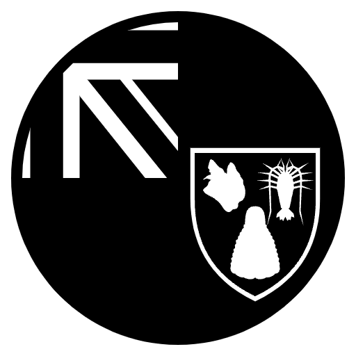 Flag Turks & Caicos Islands Emoji from EmojiTwo Black Set