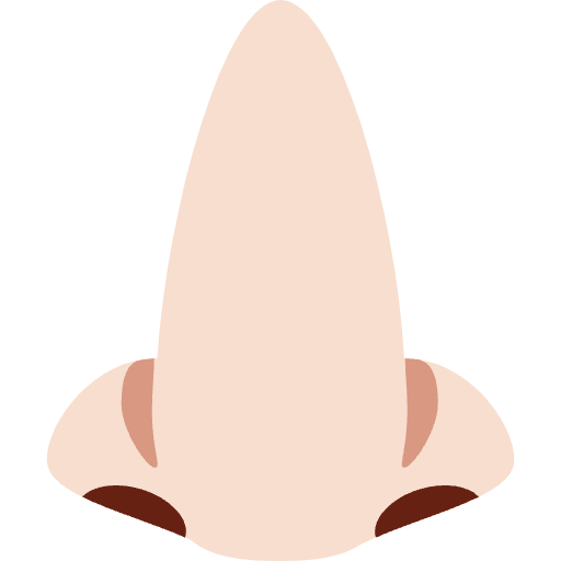 Nose Light Skin Tone Emoji from Twemoji Emoji Set