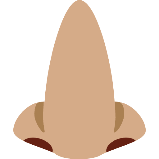 Nose Medium Skin Tone Emoji from Twemoji Emoji Set