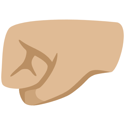 Left Facing Fist Medium Light Skin Tone Element from Noto Emojis Set