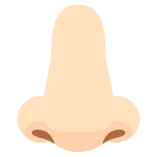 Nose Light Skin Tone Emoji from EmojiTwo Colors Set