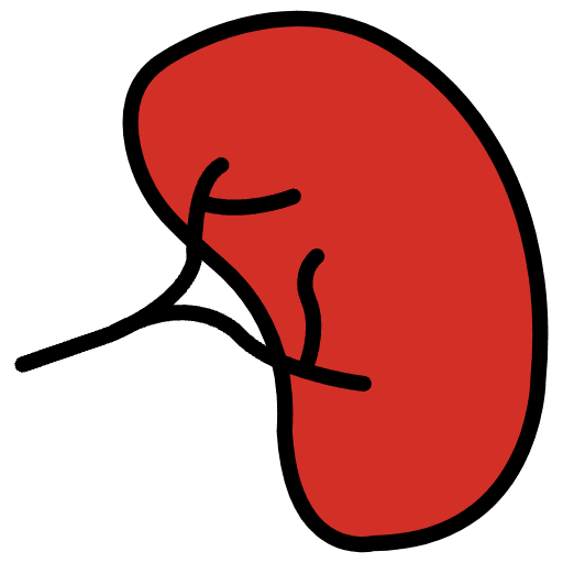 Kidney Emoji from OpenMoji Emoji Set