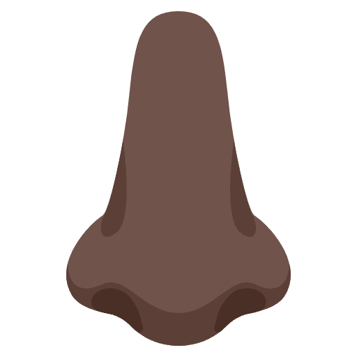 Nose Dark Skin Tone Emoji from Noto Emojis Set