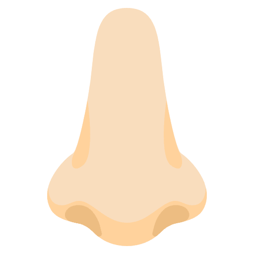 Nose Light Skin Tone Emoji from Noto Emoji Set