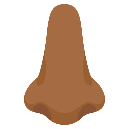 Nose Medium Dark Skin Tone Emoji from Noto Emoji Set