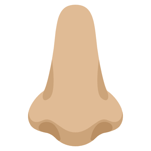Nose Medium Light Skin Tone Emoji from Noto Emoji Set