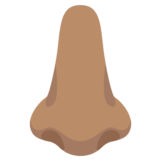 Nose Medium Skin Tone Emoji from Noto Emoji Set