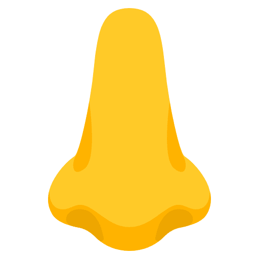 Nose Emoji from Noto Emojis Set