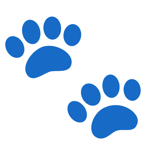 Paw Prints Emoji from Noto Emojis Set