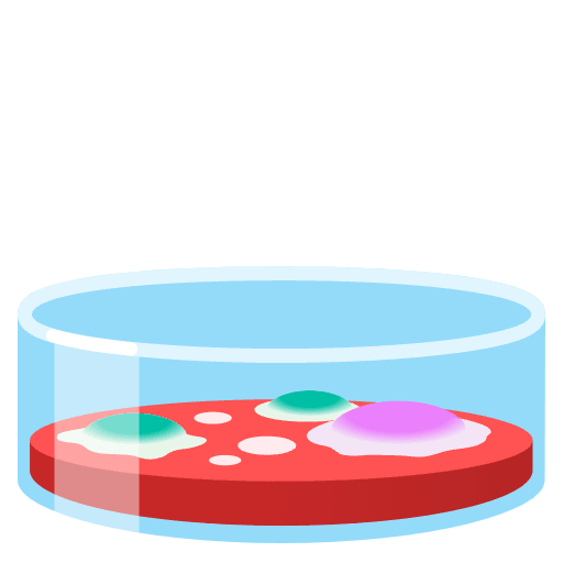 Petri Dish Emoji from Noto Emojis Set