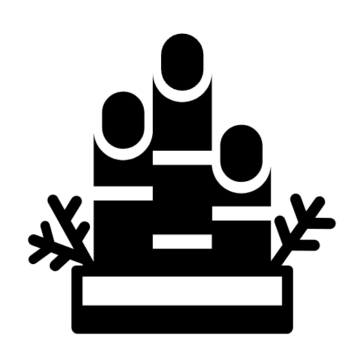 Pine Decoration High Contrast Element from Fluent Emoji High Contrast Set