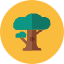 Tree Icon from Kameleon Colors Set