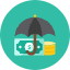 Money Protect Icon from Kameleon Colors Set