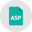 Asp File Icon from Kameleon Colors Set