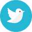 Twitter 2 Icon from Kameleon Colors Set