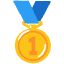 1st Place Medal Emoji from Noto Emoji Set