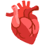 Anatomical Heart Emoji from Noto Emoji Set