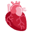 Anatomical Heart Emoji from Twemoji Set