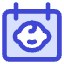 Date Of Birth Calendar 3 Icon from Core Duo Set