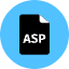 Asp File Icon from Kameleon Pop Set