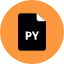 Py File Icon from Kameleon Pop Set