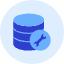 Database Setting Icon from Kameleon Duo Set