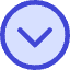 Tailless Line Arrow Down Circle Icon from Core Duo Set