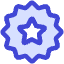 Badge Award Star Icon from Core Duo Set
